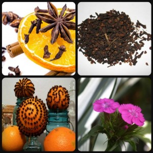 Cloves-and-spices