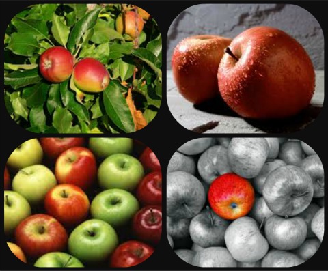 apple-healthy-fruits